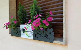 B&B Residence Armonia Sulmona